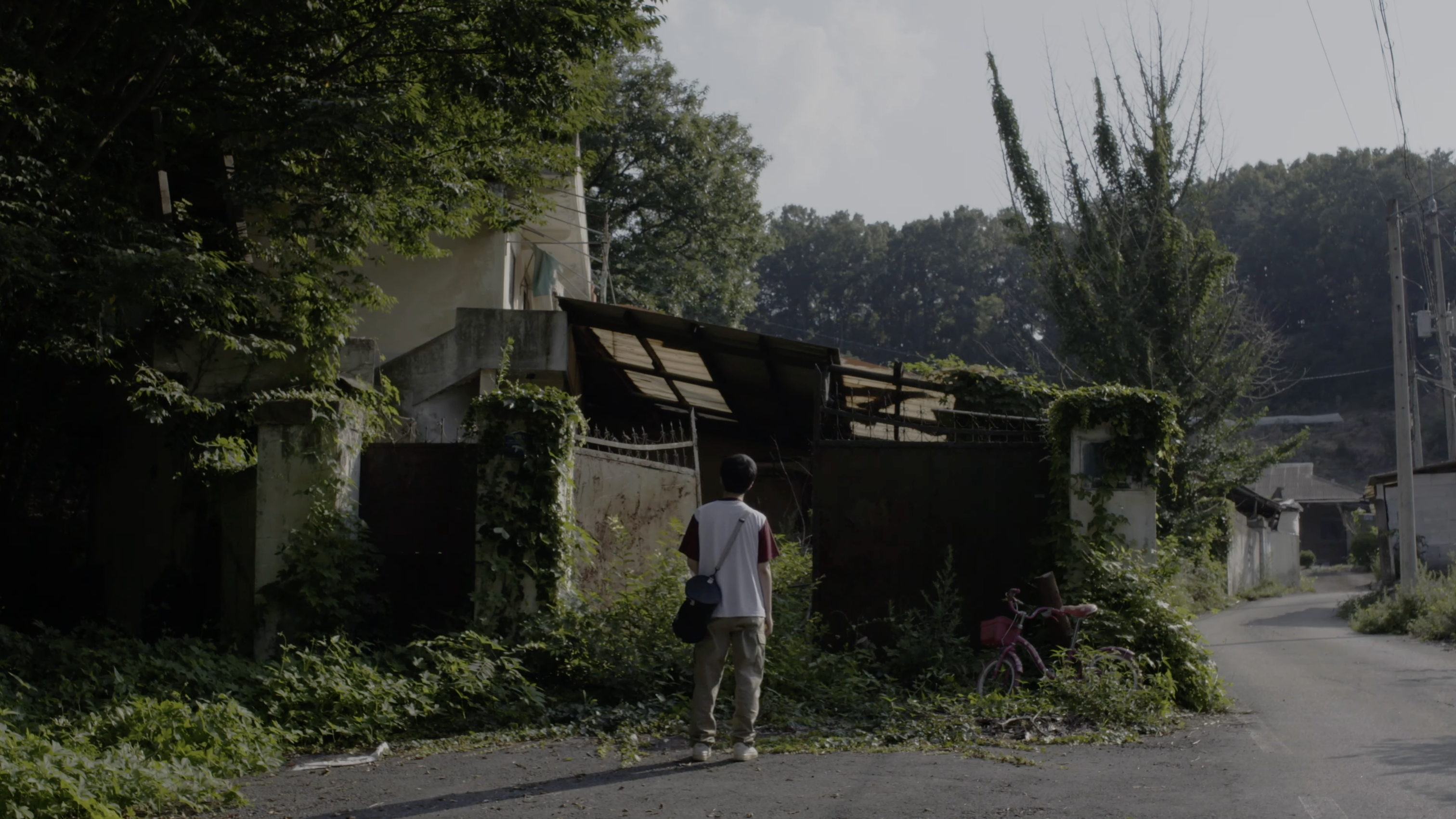 Still from Snail